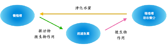 上傳圖片